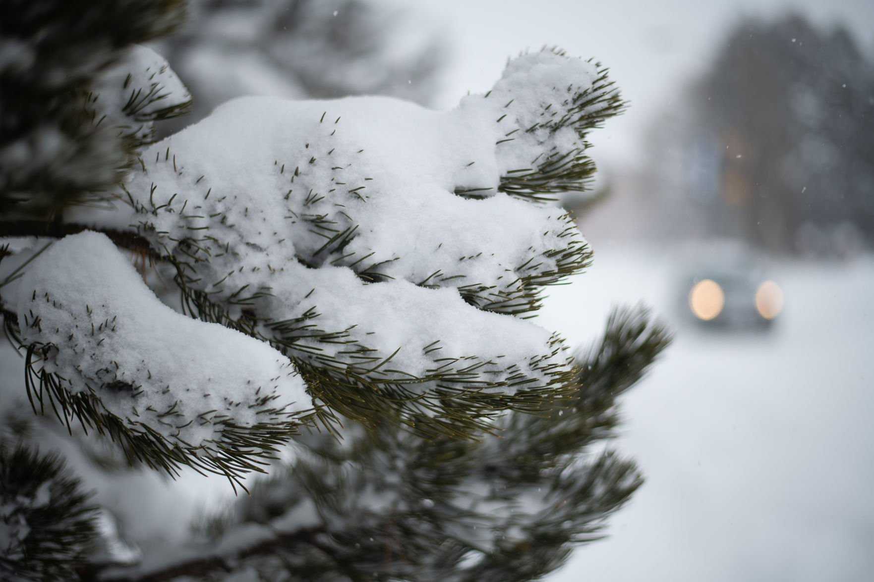 Did climate change summon the snowfall?